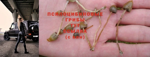 прущая мука Михайлов