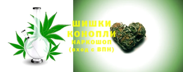 прущие грибы Михайловск