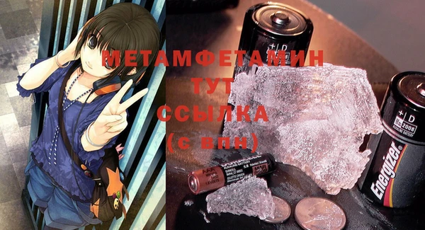 прущие грибы Михайловск