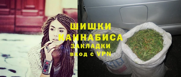 прущие грибы Михайловск