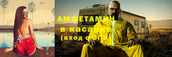 прущие грибы Михайловск