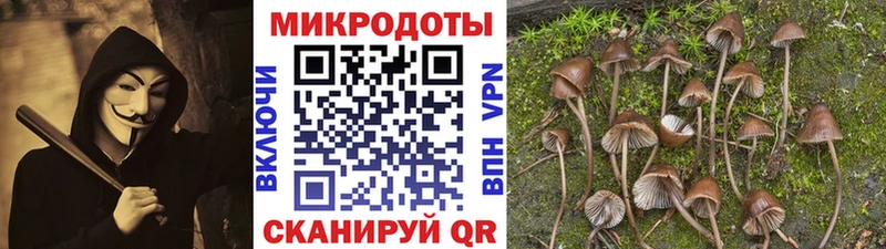 Псилоцибиновые грибы Magic Shrooms  нарко площадка формула  Мензелинск  как найти закладки 